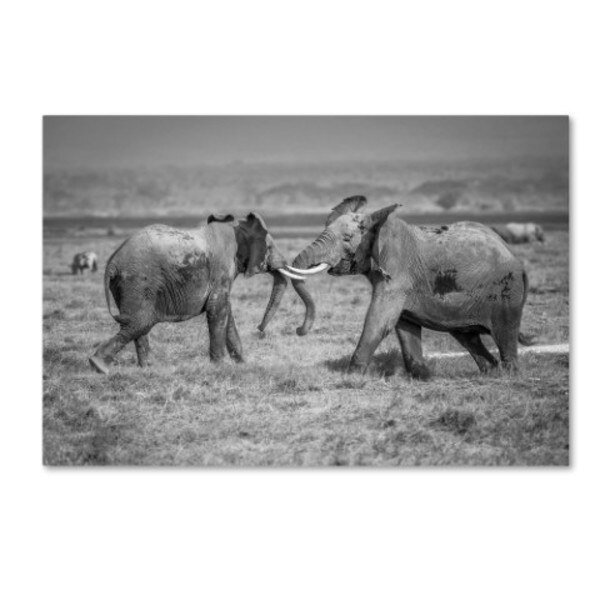 Jeffrey C Sink 'Sumo In The Natural World' Canvas Art, 22x32, Trademark Fine Art, Mfr#: 1X01116-C2232GG